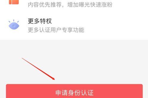 头条身份认证如何快通过,头条身份认证快速通关攻略