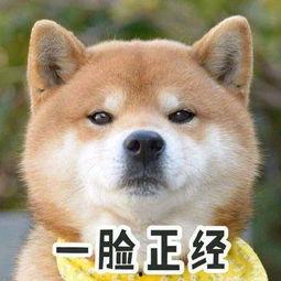 头条文章晚宁啊哈,揭秘晚睡族的健康生活新主张