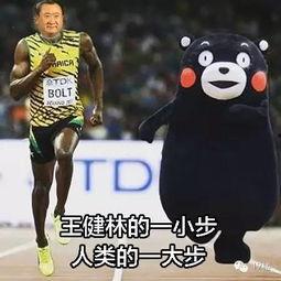 跟着吃瓜群众吃瓜的人,品味人生百态