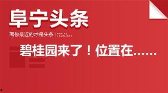 盐城阜宁今天的新闻头条,突发事故引发关注，救援行动正在进行中