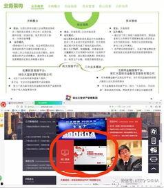 最新最全爆料网站,最新最全爆料网站深度解析，独家内幕一网打尽！