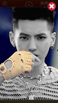 歌手明星脸,演绎音乐与偶像的双重魅力