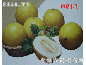 雨禾吃瓜,揭秘娱乐圈那些不为人知的幕后故事