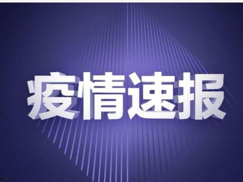今日头条上海新增疫情,最新疫情动态解析