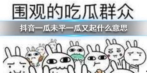 魏县吃瓜抖音,抖音带你领略地道美食风情