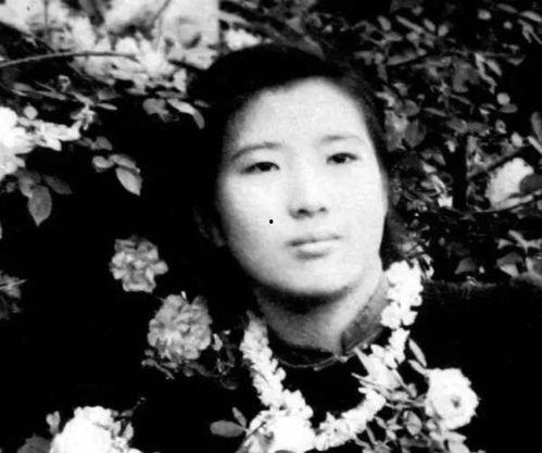 袁宝吃瓜,揭秘娱乐圈背后的那些事儿