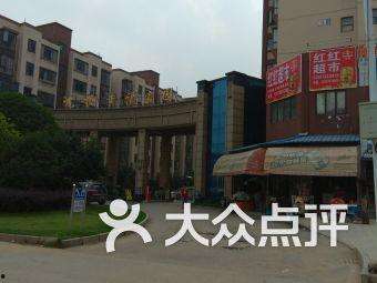 施甸市幸福家园新闻头条,共建和谐宜居新家园，谱写乡村振兴新篇章