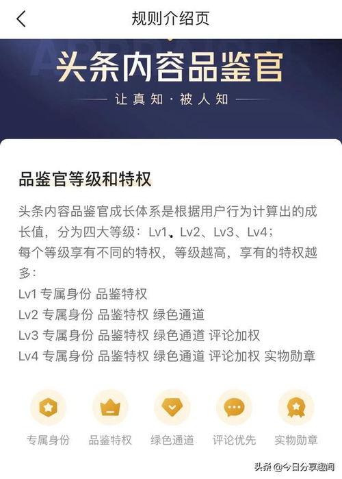 怎么开通头条内容品鉴官,开启你的内容创作之旅