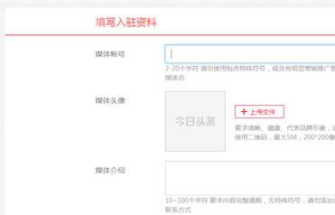头条小白怎么申请账号,轻松申请个人账号全攻略