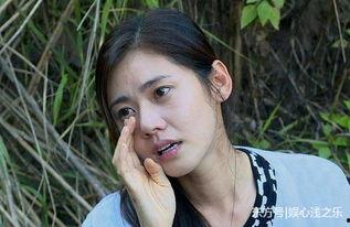 赖 韩国 明星,闪耀星河中的璀璨星辰