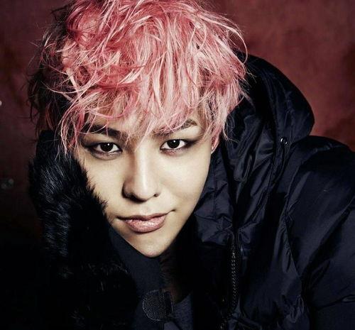 金狮子明星,闪耀舞台的璀璨之星