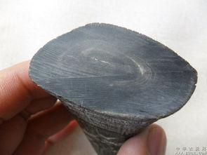 牛角老料怎么看真假图片,真假图片识别揭秘