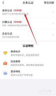 头条身份认证怎么写文章,轻松掌握文章发布技巧，提升内容质量与传播力