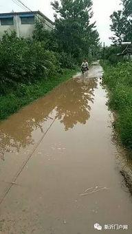 新沂吃瓜淌水视频,吃瓜淌水，夏日街头欢乐多