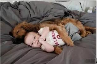 网红睡着图片大全大图