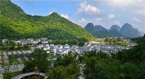 南宁老塘镇新闻头条,聚焦乡村振兴新篇章