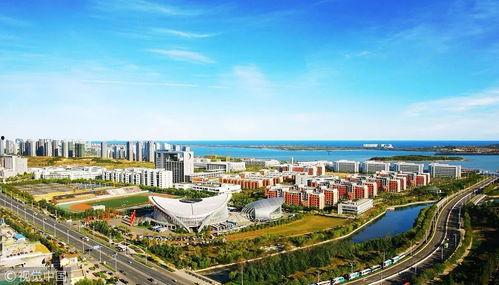 佳木斯松北新区今日头条