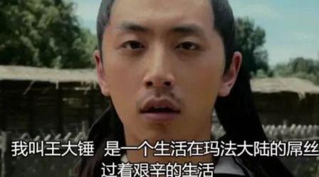 王大锤粉丝爆料视频,揭秘幕后精彩瞬间