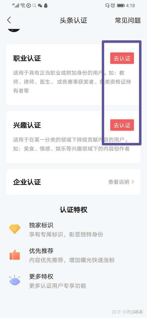 头条网上认证,揭秘网络信息真实性的守护者