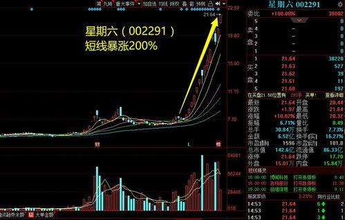 网红概念涨停,揭秘背后投资风口