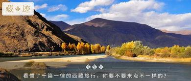 徒步西藏的明星有谁,跟随明星的脚步探寻圣域之美