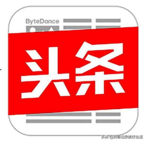 头条认证后有什么权益,解锁更多精彩特权，畅享自媒体新境界！”