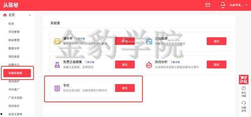 头条上怎么样申请专栏,轻松开启你的内容创作之旅