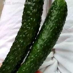 吃货小瓜仔,吃货小瓜仔的美食探秘之旅