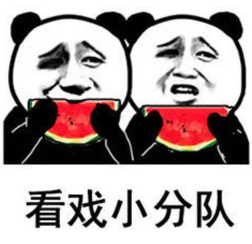 吃瓜看戏表情包兔子,兔子表情包演绎的欢乐时光