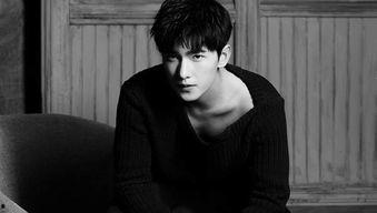 杨洋属于资本明星,资本明星的璀璨之路